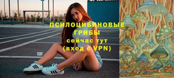 крисы Зеленокумск