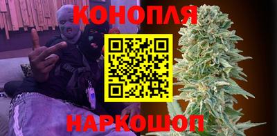 сатива Можайск