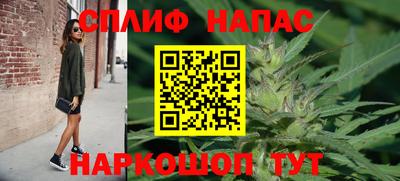спайс Моздок